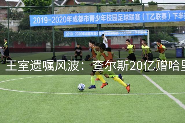 王室遗嘱风波：查尔斯20亿赠哈里引威廉强烈不满